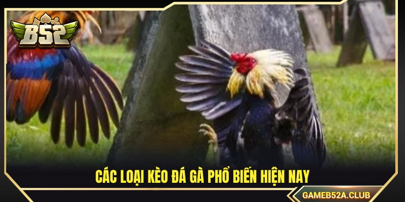 Tổng hợp những hình thức đặt cược thông dụng