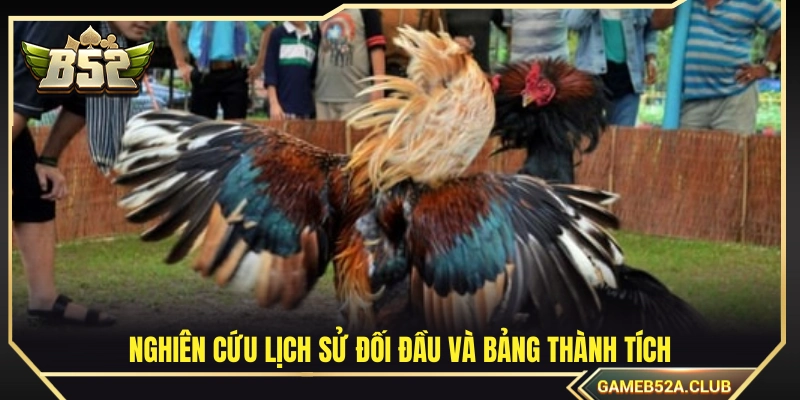 Cách bắt kèo đá gà bằng đánh giá năng lực thực tế